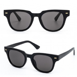 TR90 sunglasses