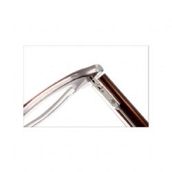 acetate optical frame